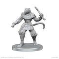 Pathfinder: Deep Cuts - Elf Hunter & Catfolk Bandit