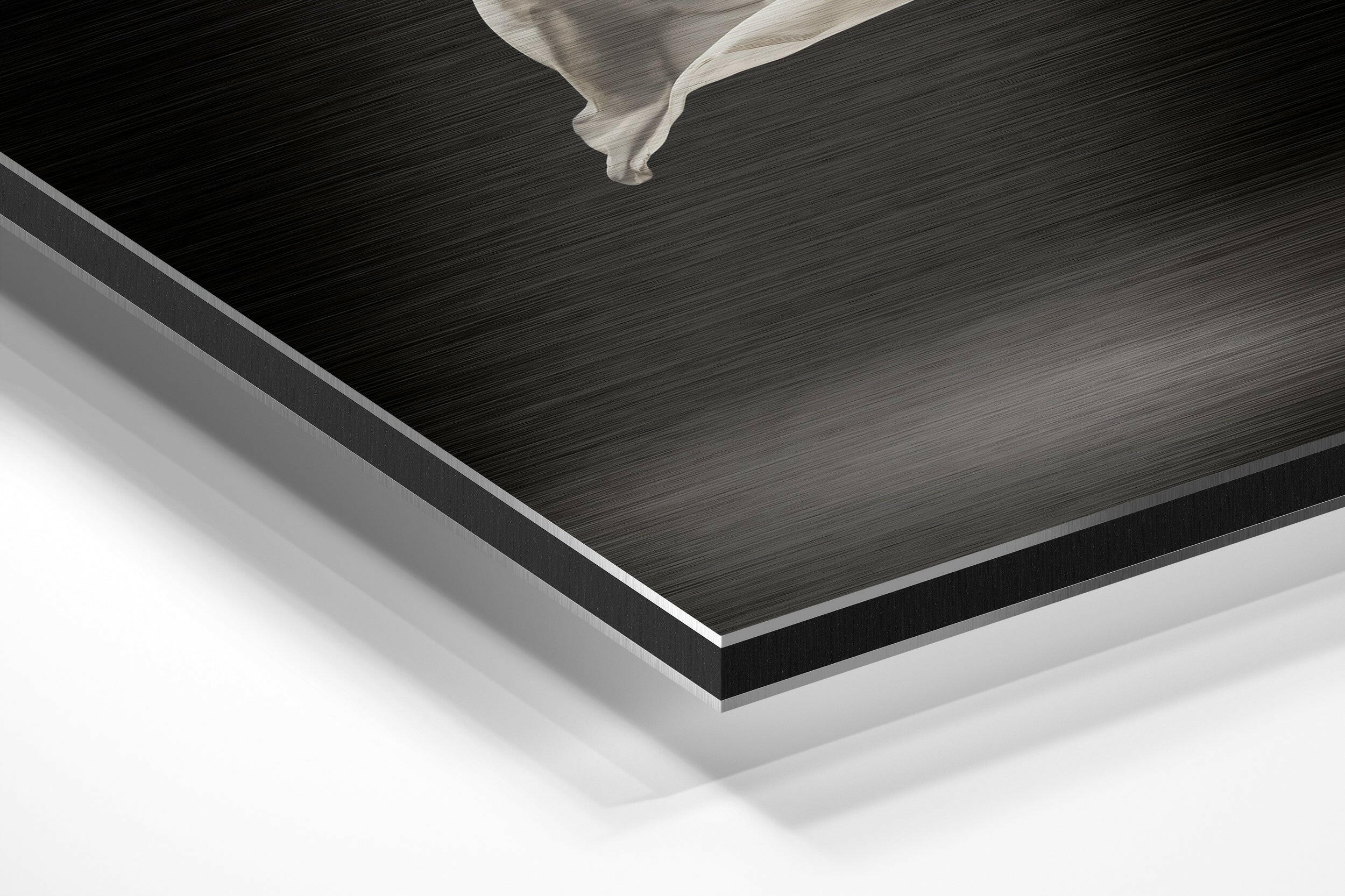 Ballerina Brushed Aluminium Dibond Wall Art