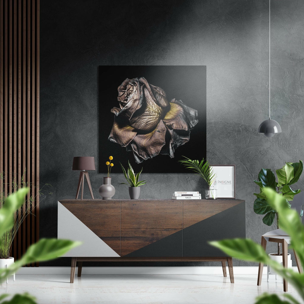 Rose Brushed Aluminium Dibond Wall Art