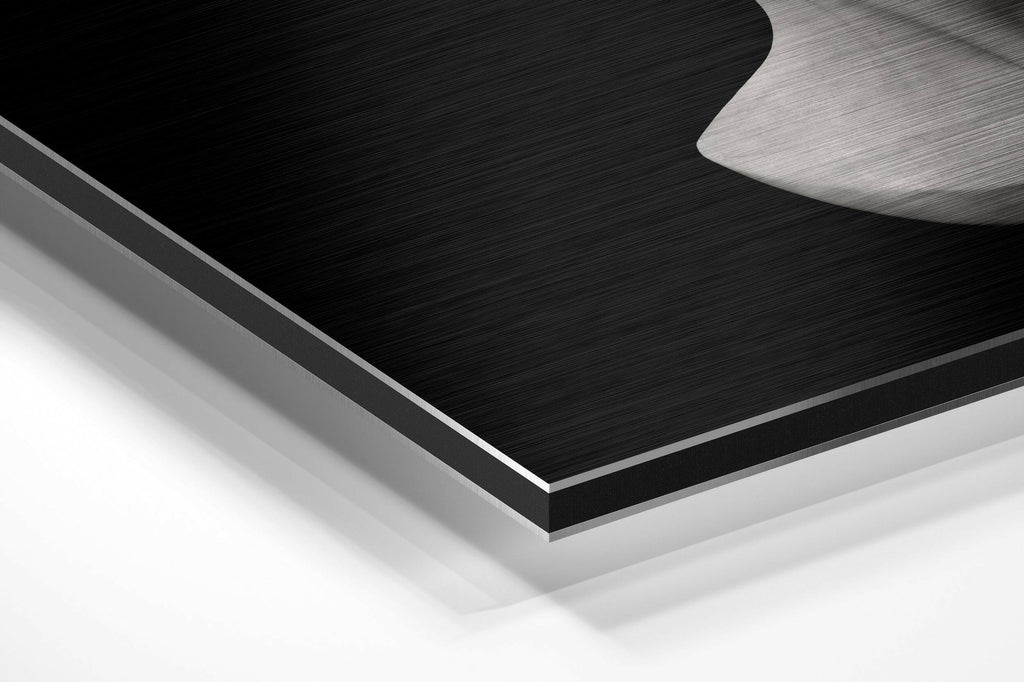 The Art of Sculpture Brushed Aluminium Dibond Wall Art