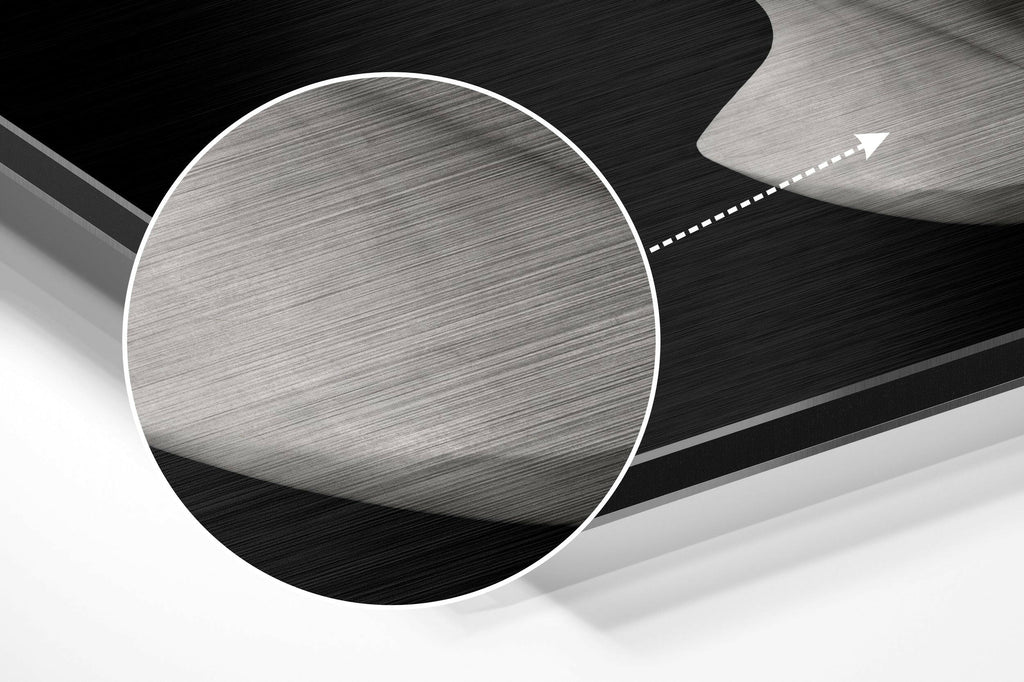 The Art of Sculpture Brushed Aluminium Dibond Wall Art