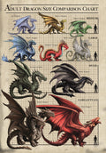 Size Chart Dragons Card