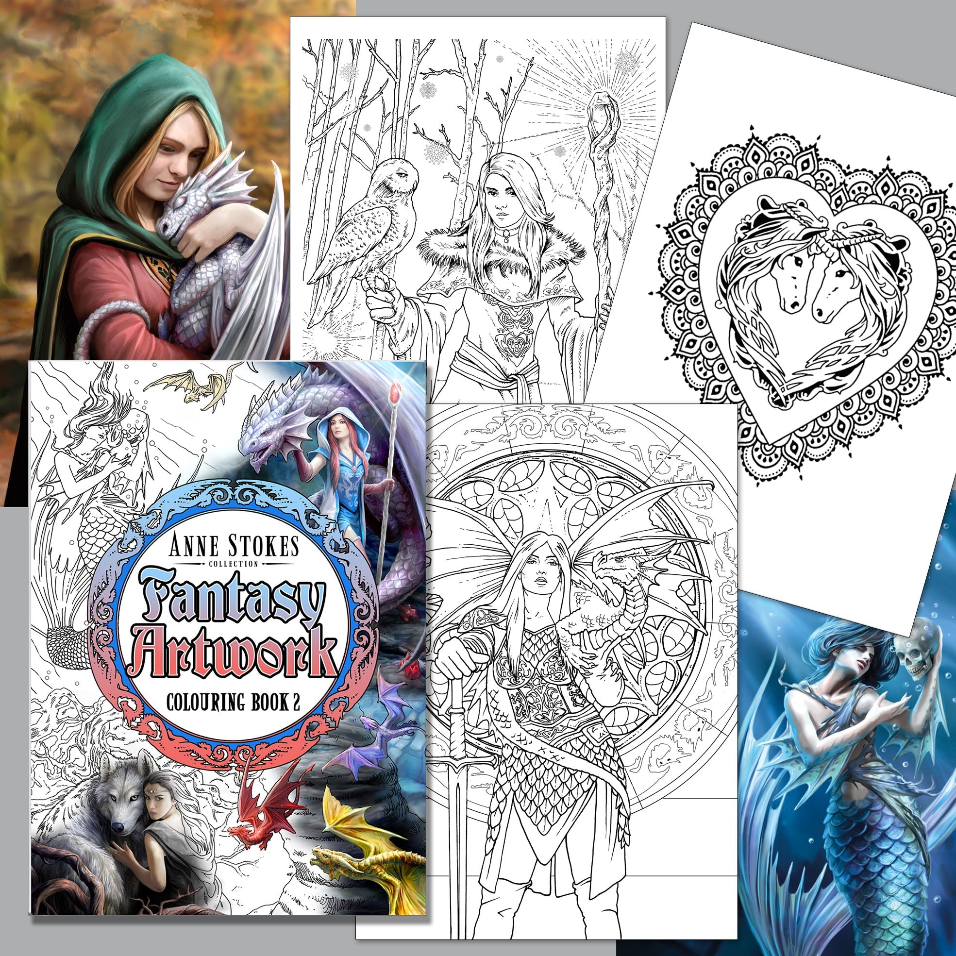 Anne Stokes Fantasy Art Coloring Book 2