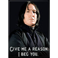 Harry Potter: Snape I Beg You Magnet
