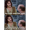 Princess Bride: What You Think It Means Magnet - 2.5" x 3.5"