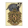 Harry Potter: Hufflepuff Crest Magnet - Alternate