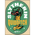 Harry Potter: Slytherin Quidditch Stamp Magnet