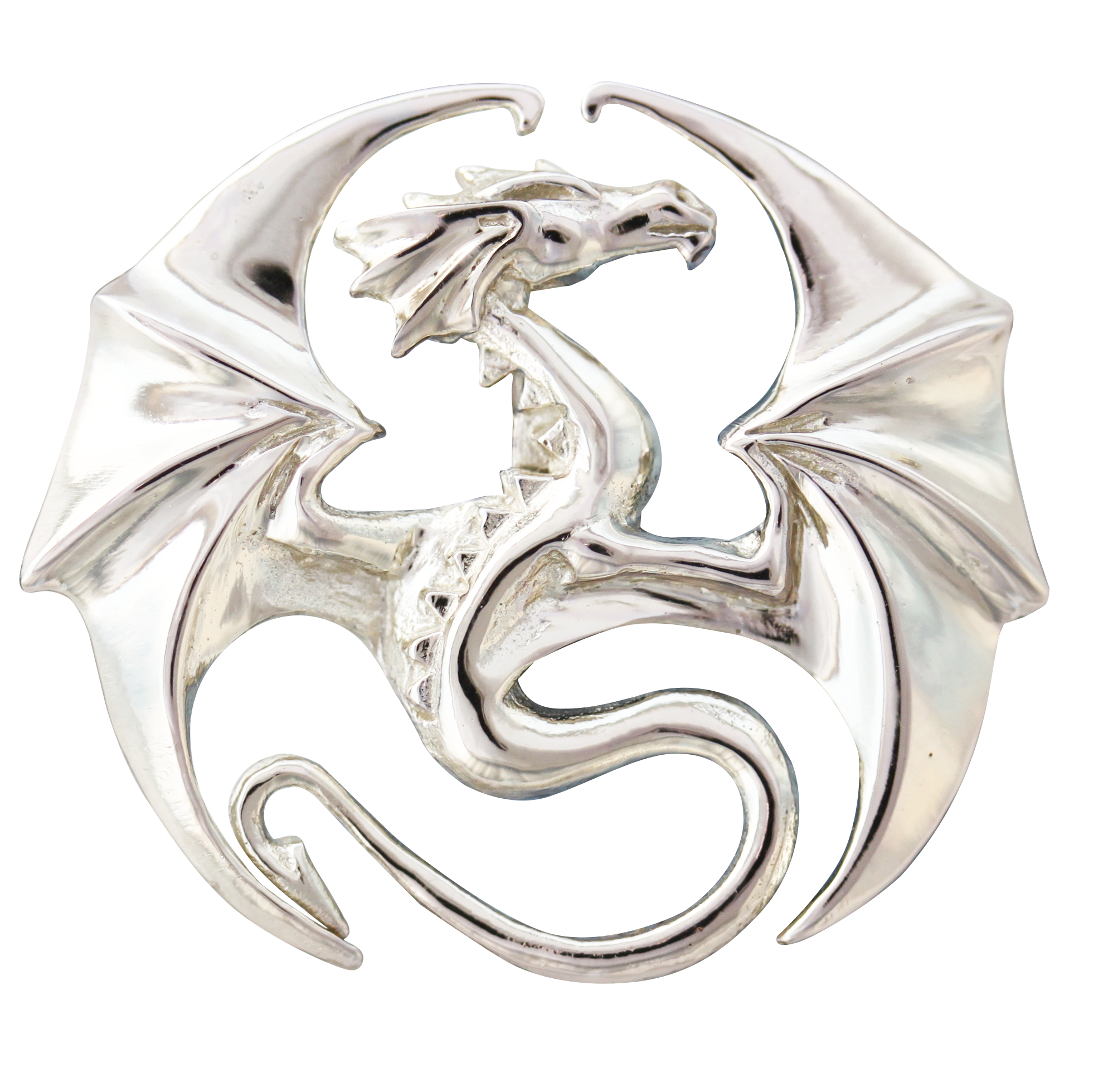Draco for Stability & Progress by Anne Stokes