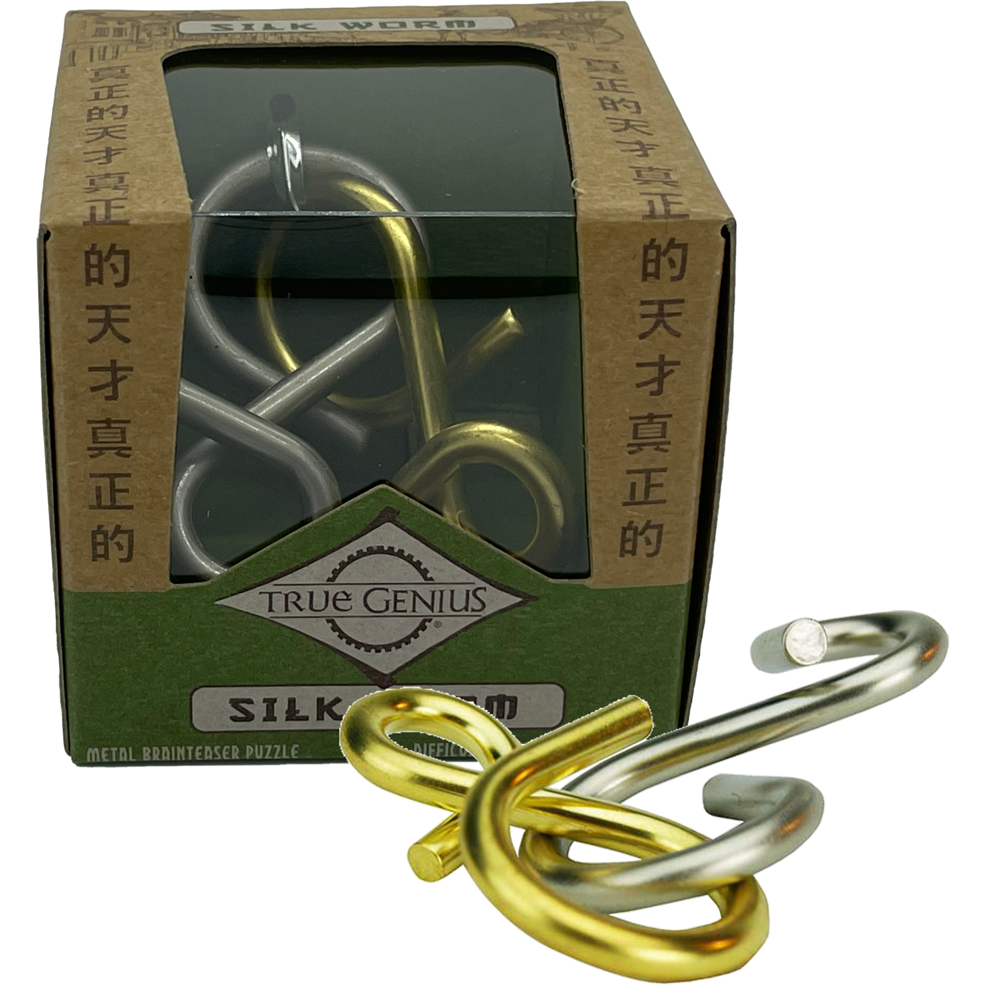 Silk Worm