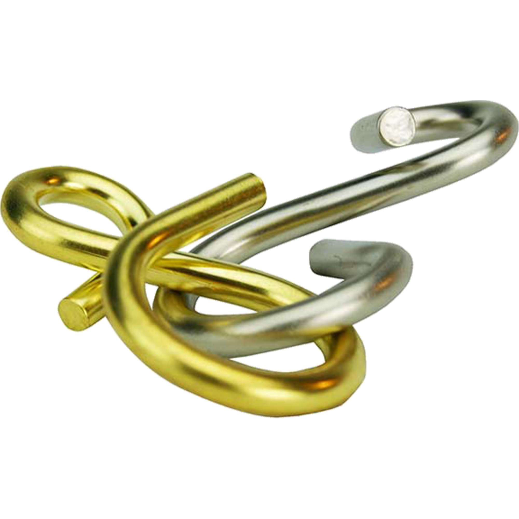 Silk Worm