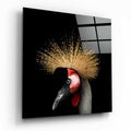 Black Crowned Crane