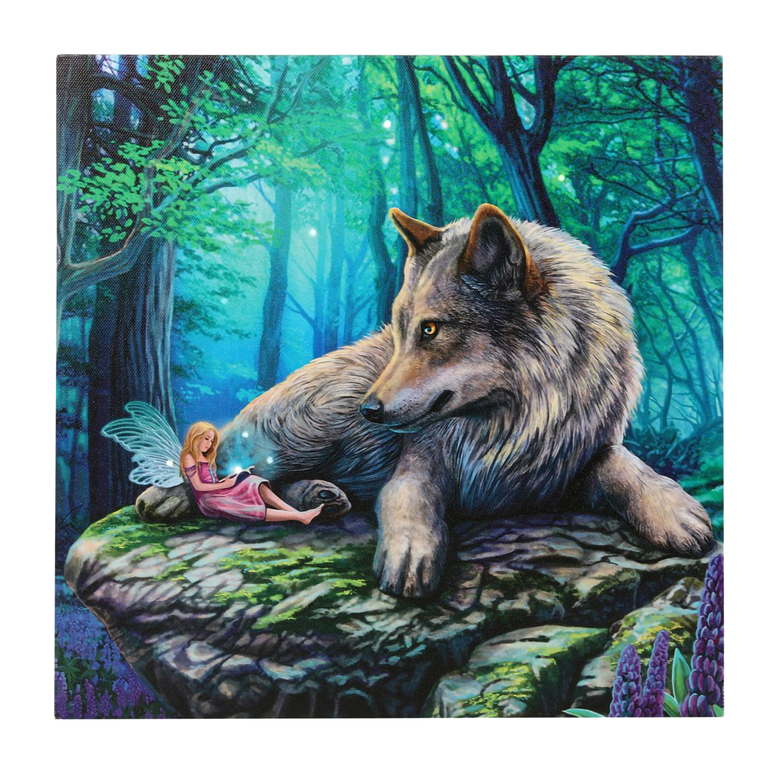 Fairy Stories Light Up Canvas Print by Lisa Parker