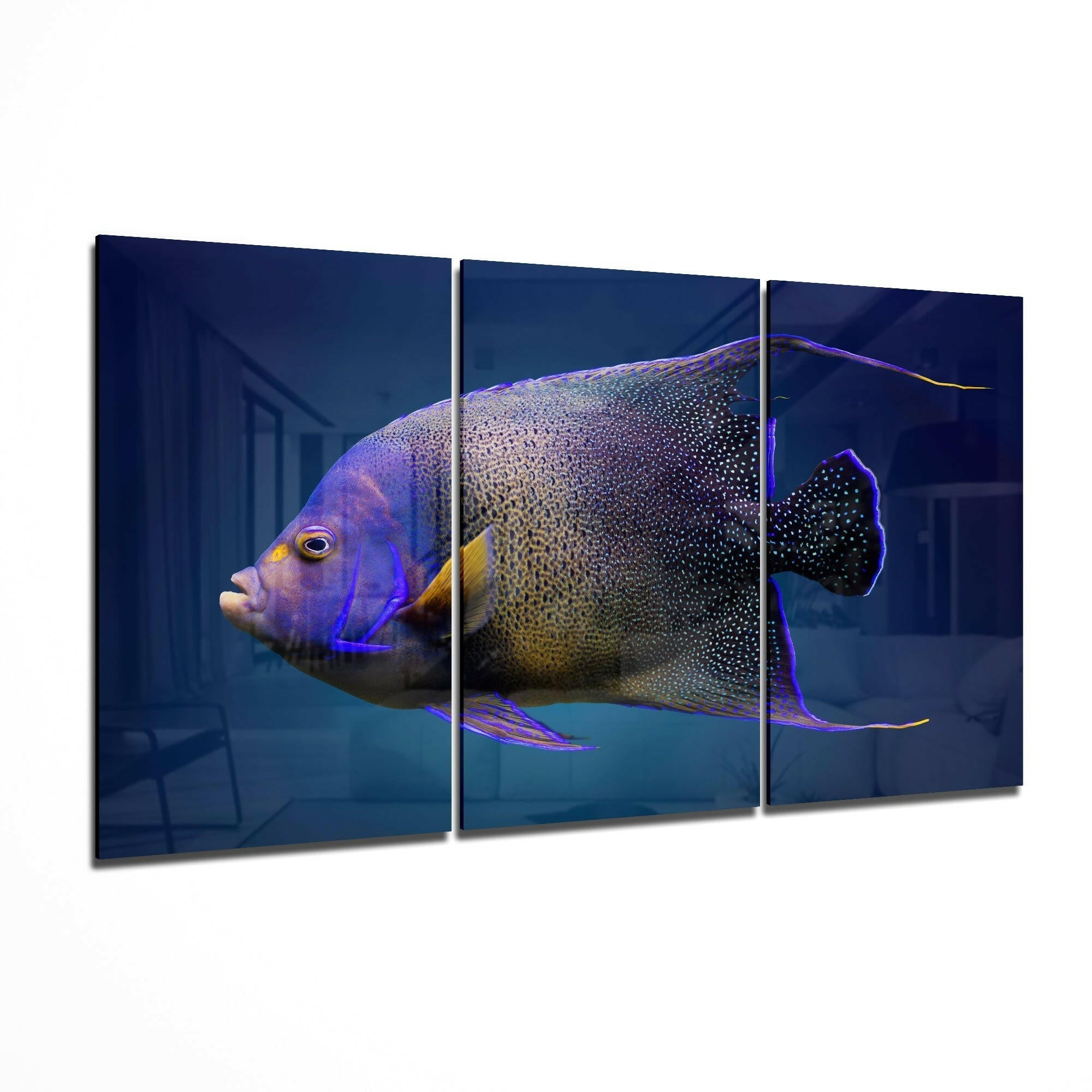 Queen Angel Fish Glass Art