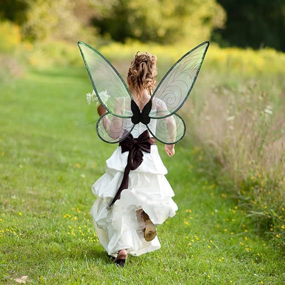 Adult fairy wings, shiny transparent princess wings Cosplay fairy wings costume Halloween costume