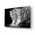 Tiger of the Bengal Glass Wall Art