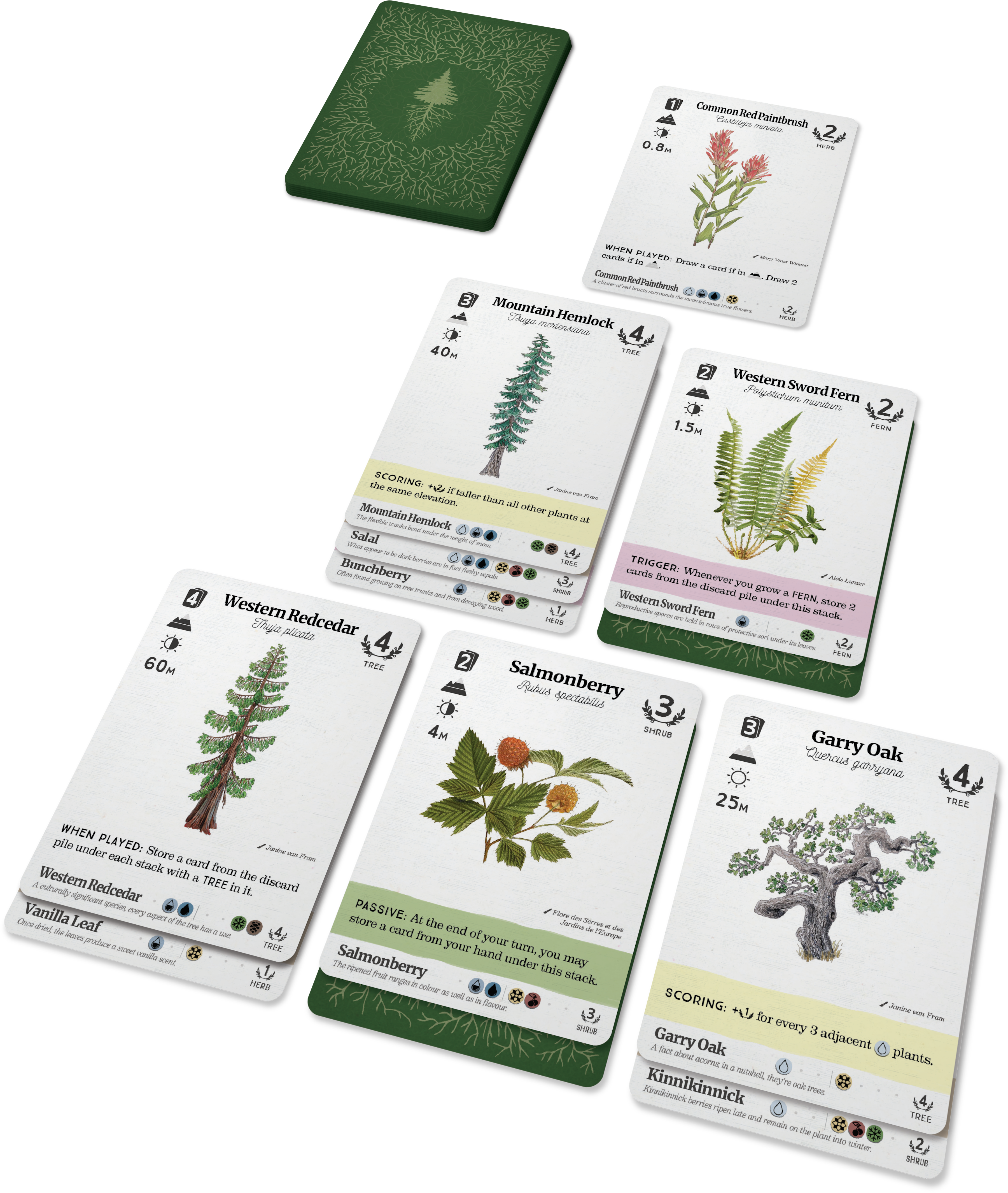 Reforest: Old Growth