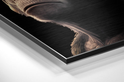 3 Wise Monkeys Brushed Aluminum Dibond Wall Art