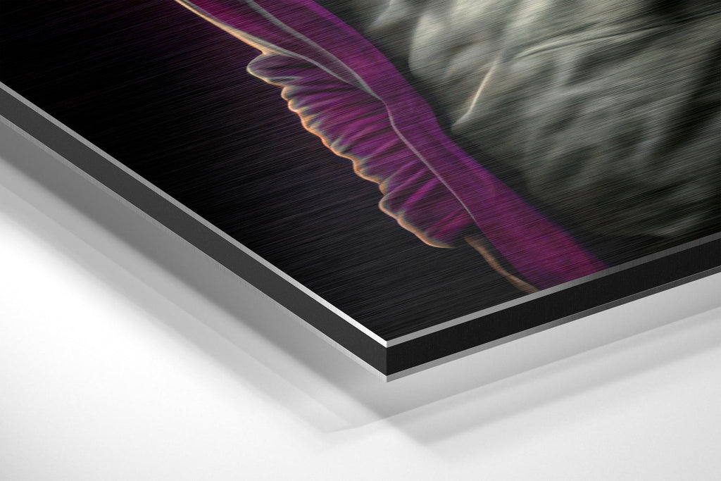 Anger of the Ape Brushed Aluminum Dibond Wall Art
