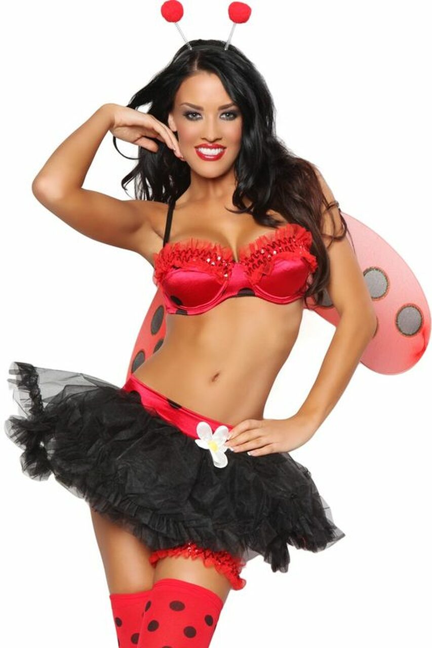 Adult Ladybug Costume