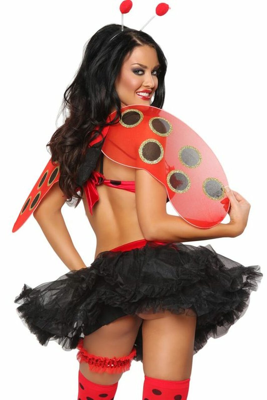 Adult Ladybug Costume