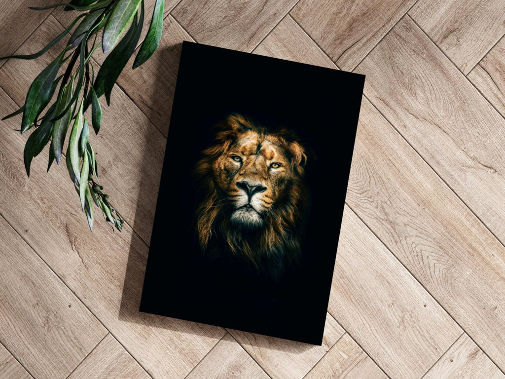 Lion Aluminum Print