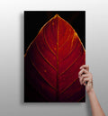 Red Leaf Aluminum Print
