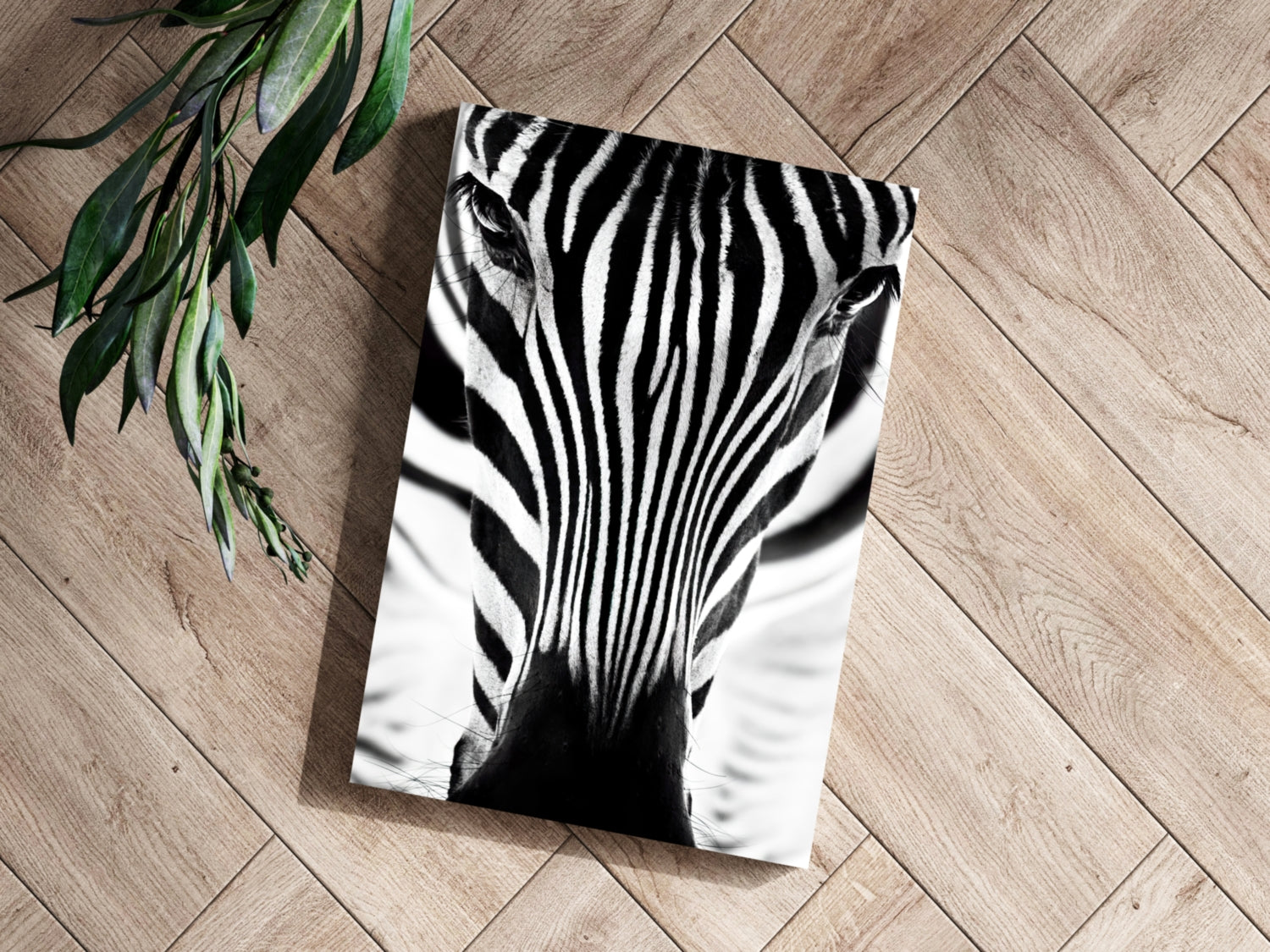 Zebra Portrait Aluminum Print