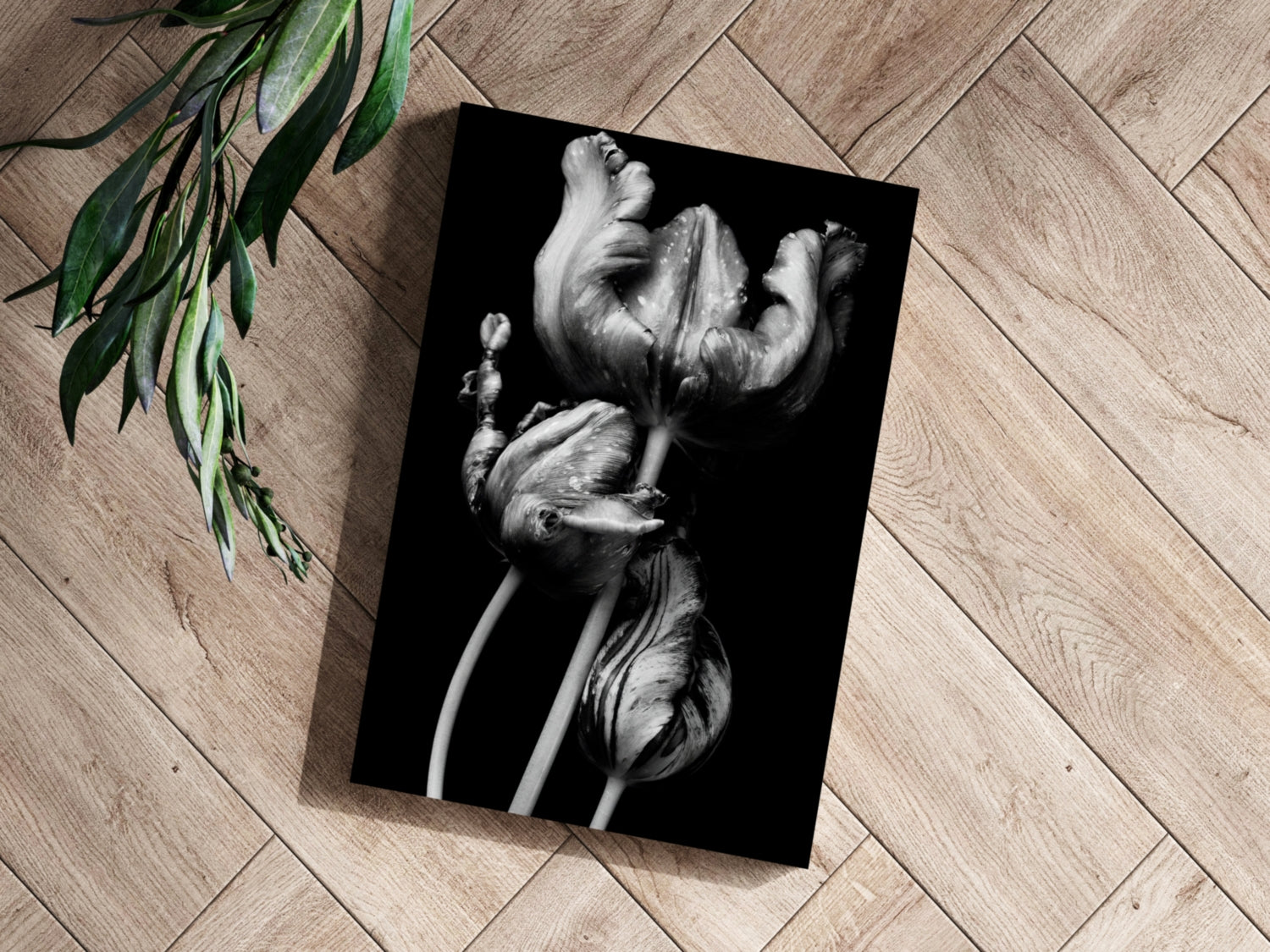 Flowers Aluminum Print