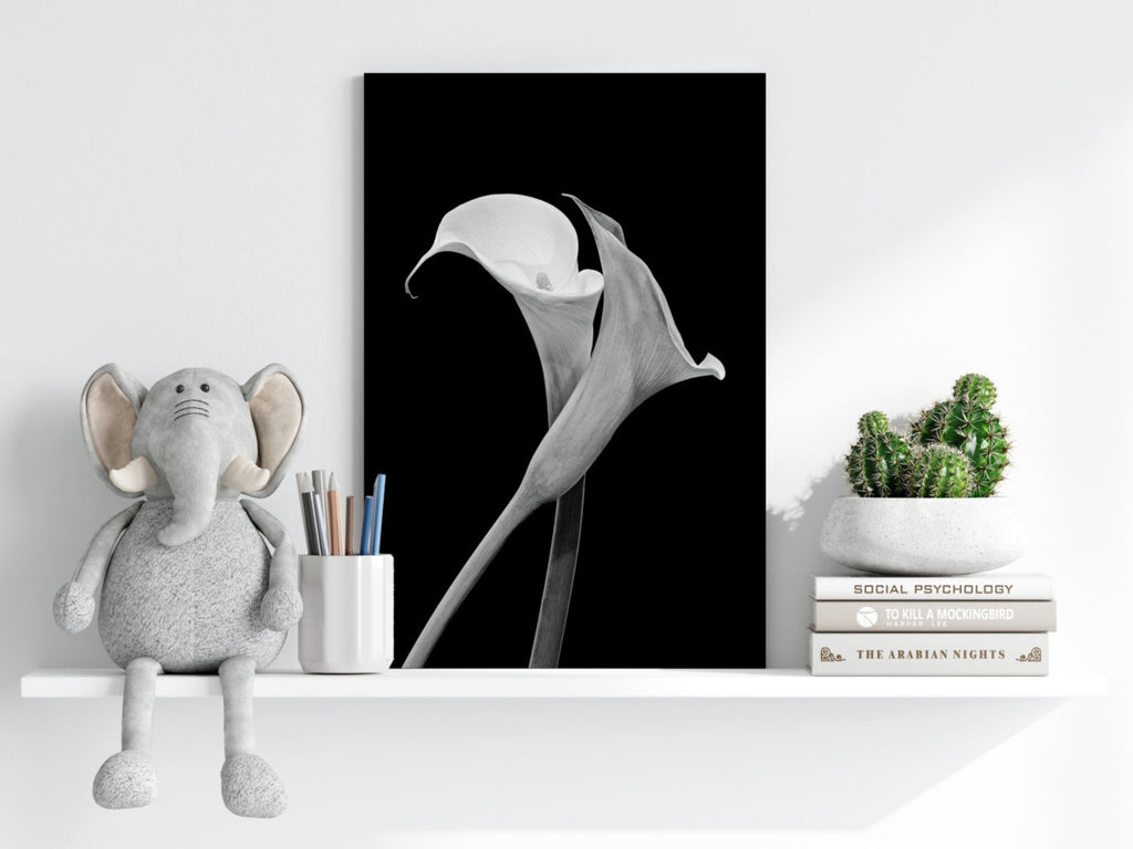 Lilly Flower Aluminum Print