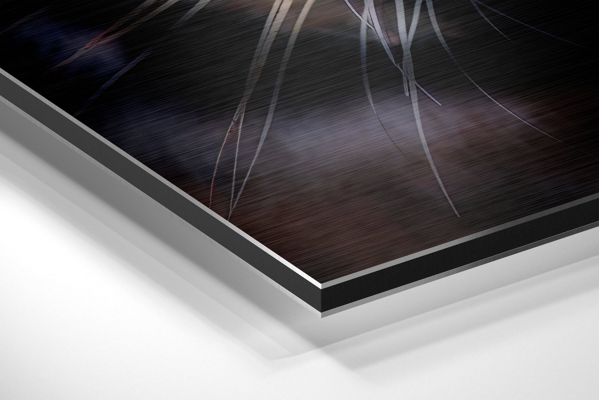 Tiger Brushed Aluminium Dibond Wall Art