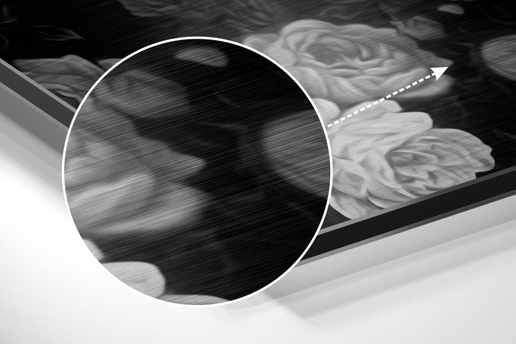 Skull Brushed Aluminium Dibond Wall Art