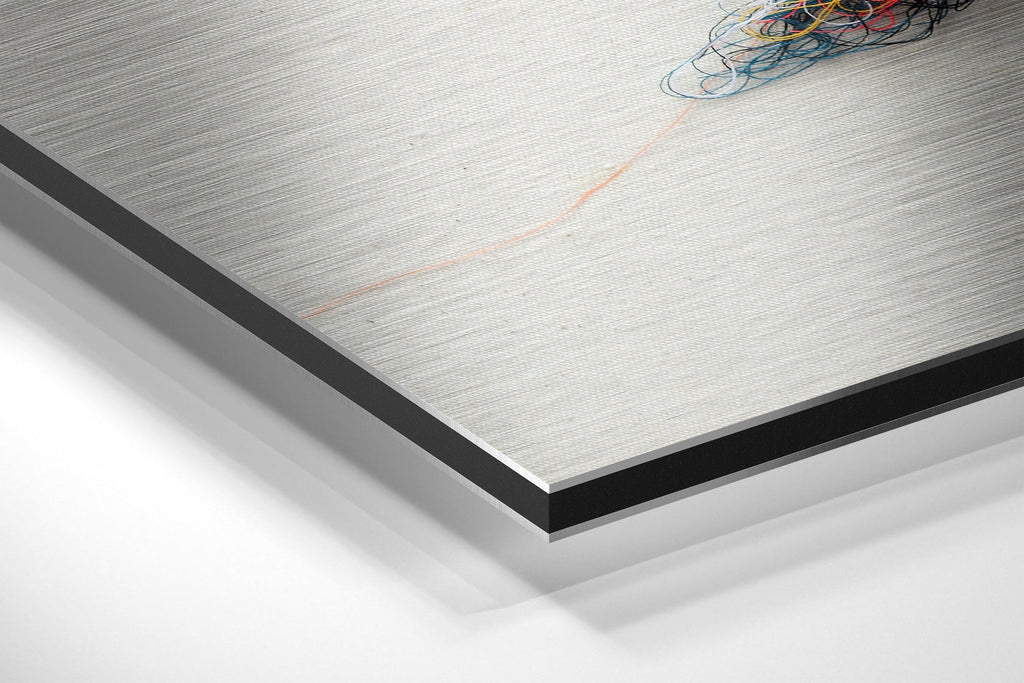 Sparrow Brushed Aluminium Dibond Wall Art