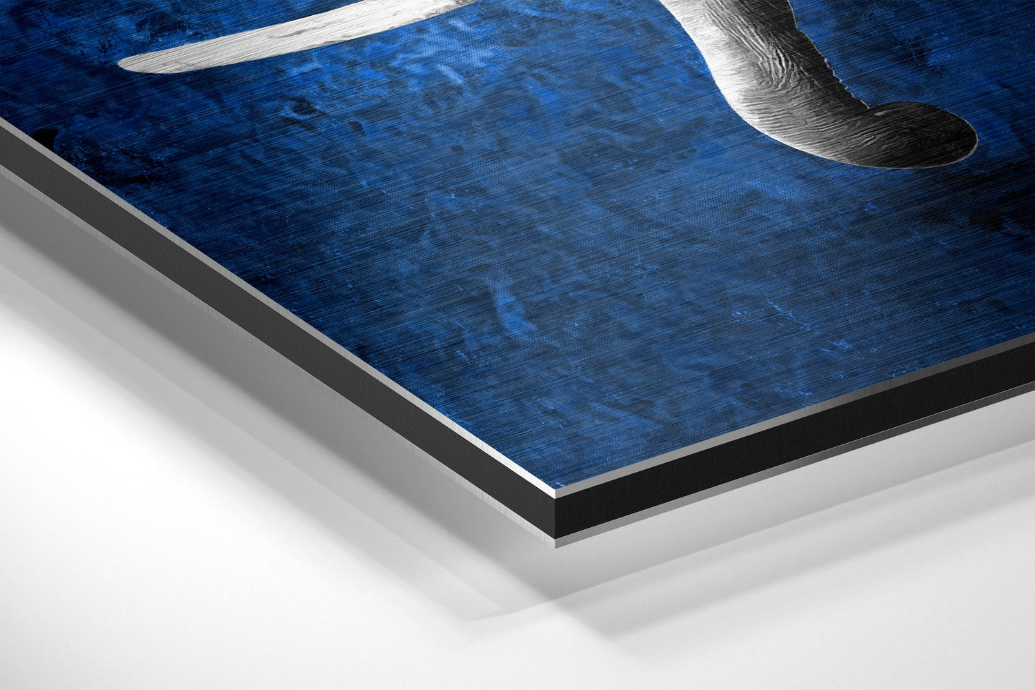Elephant Brushed Aluminium Dibond Wall Art
