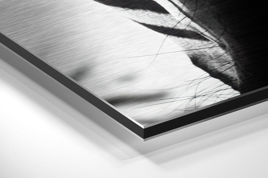 Zebra Brushed Aluminium Dibond Wall Art