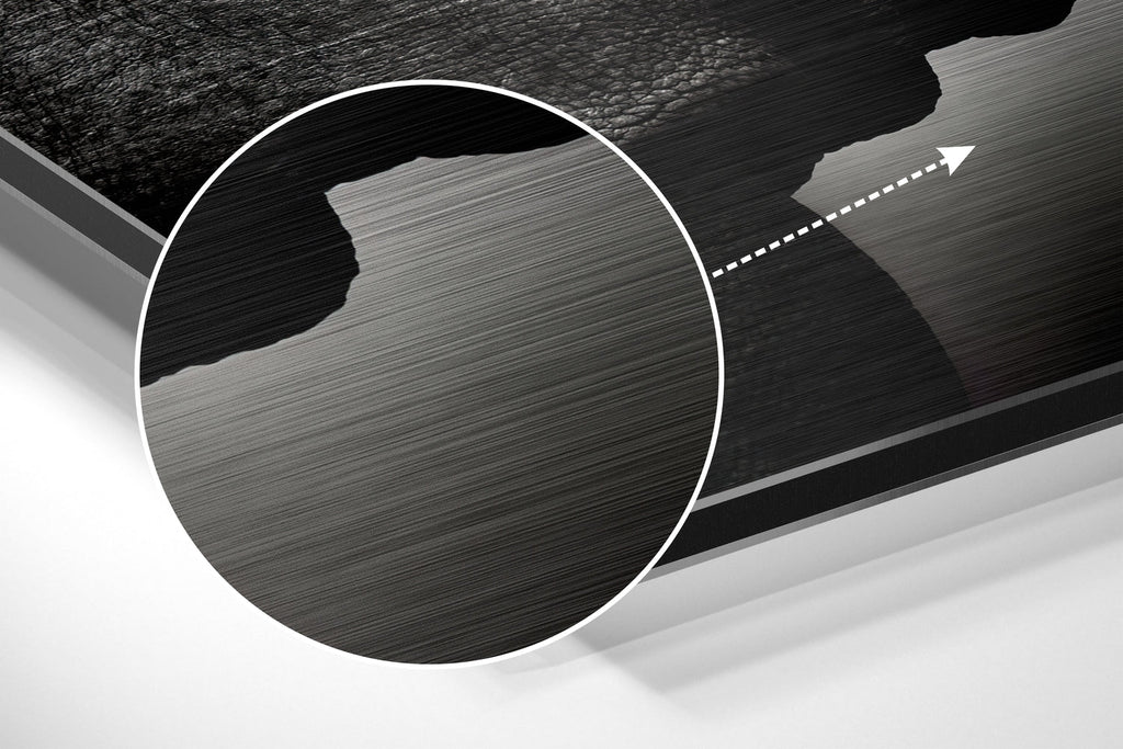 Rhino Brushed Aluminium Dibond Wall Art