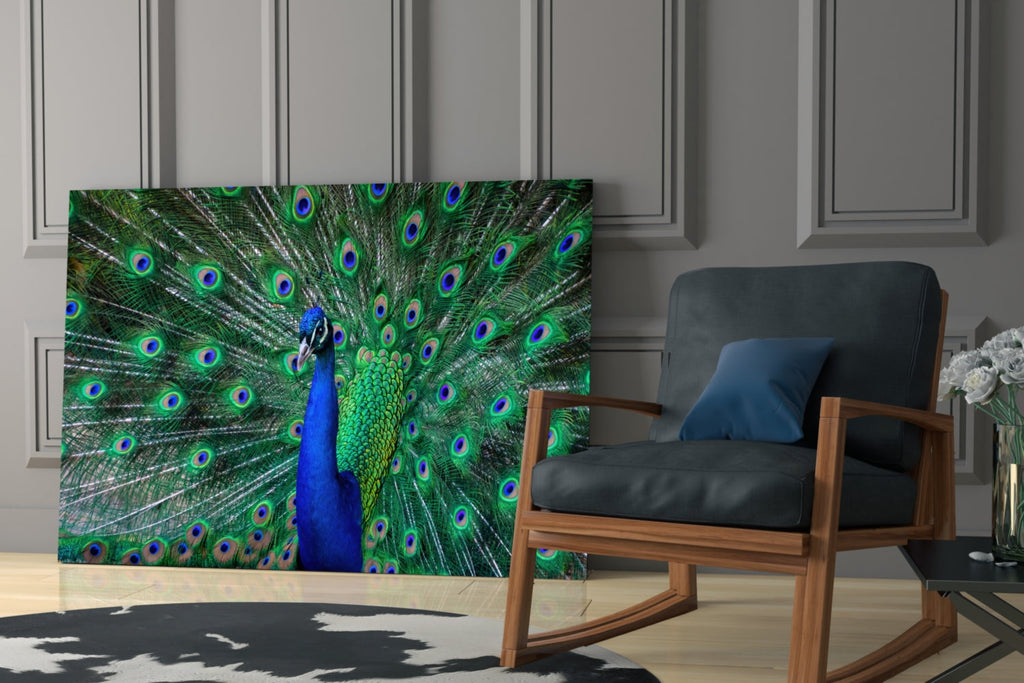 Peacock Glass Art