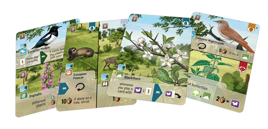Forest Shuffle: Woodland Edge