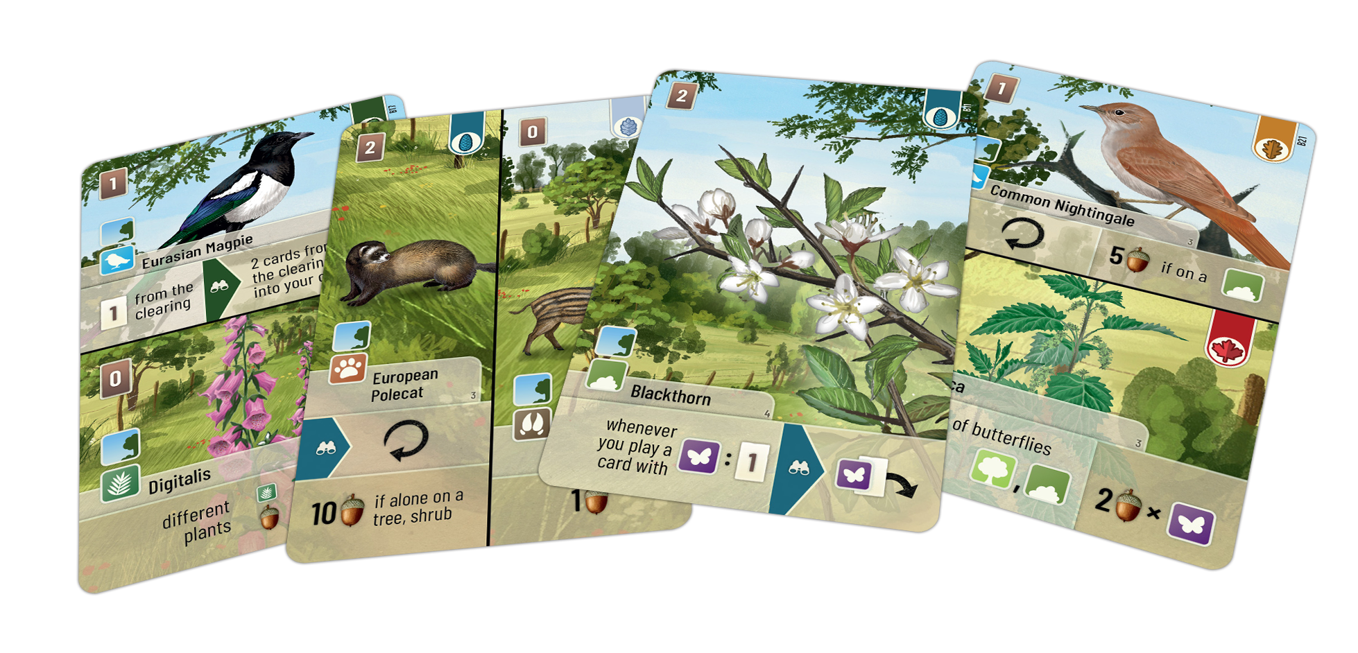Forest Shuffle: Woodland Edge