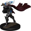 Pathfinder Battles: Femal Elf Champion