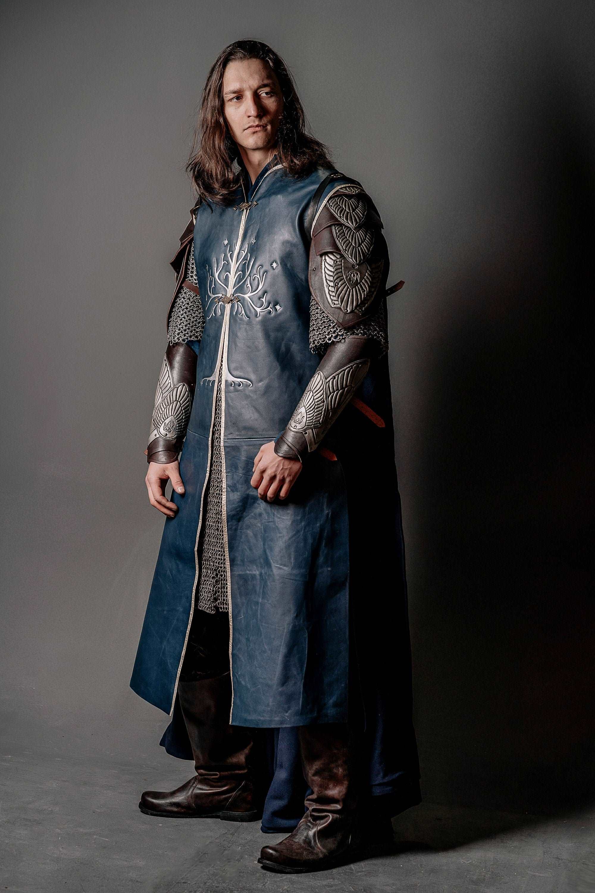 Aragorn King costume (Lord of Rings)