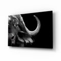 Bison Glass Wall Art