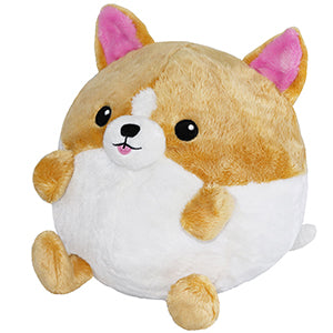 Squishable Corgi in Football (Undercover)