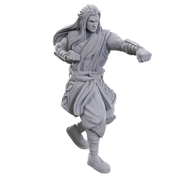 D&D: Nolzur's Marvelous Miniatures - Archdruid & Martial Arts Adept