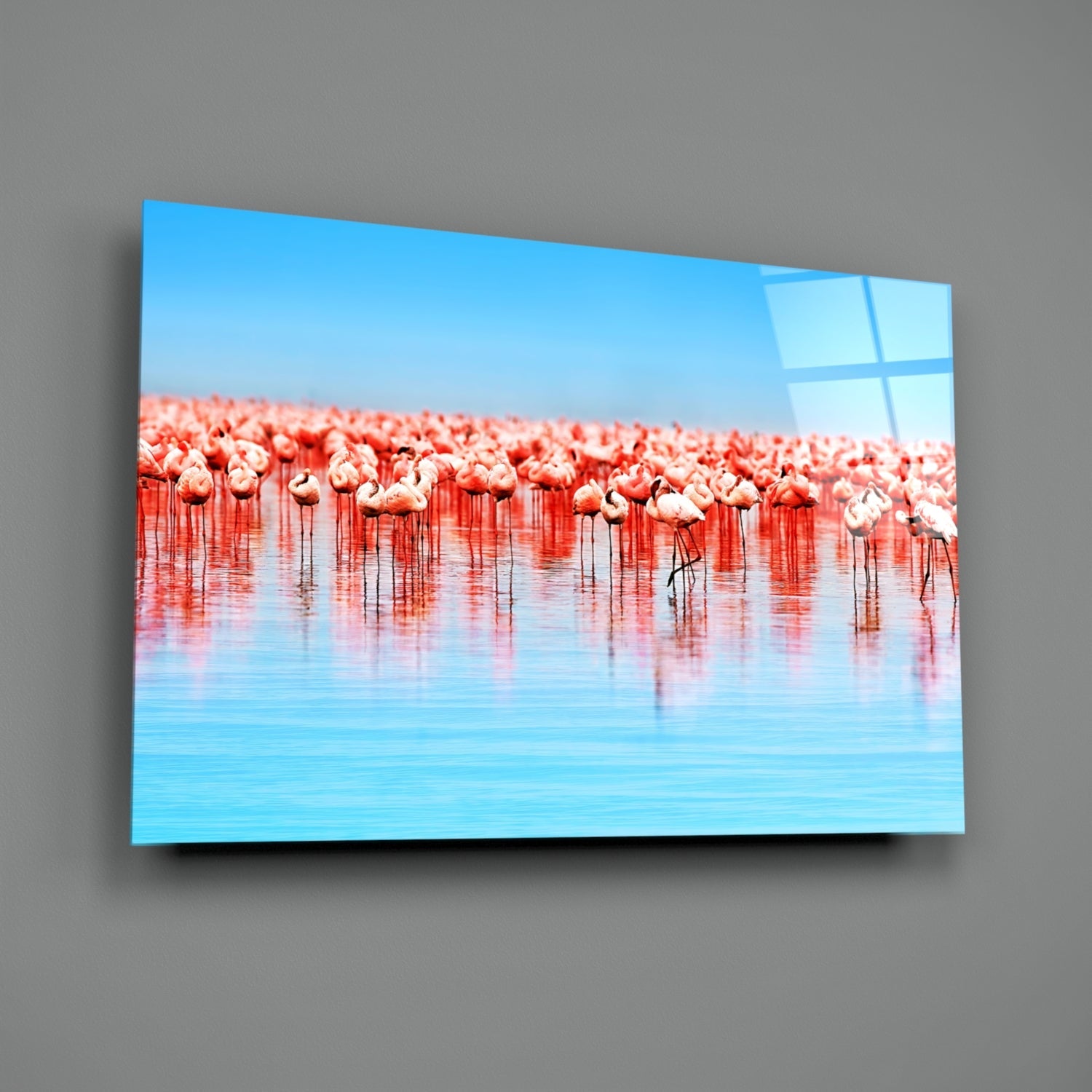 Flamingos Glass Wall Art