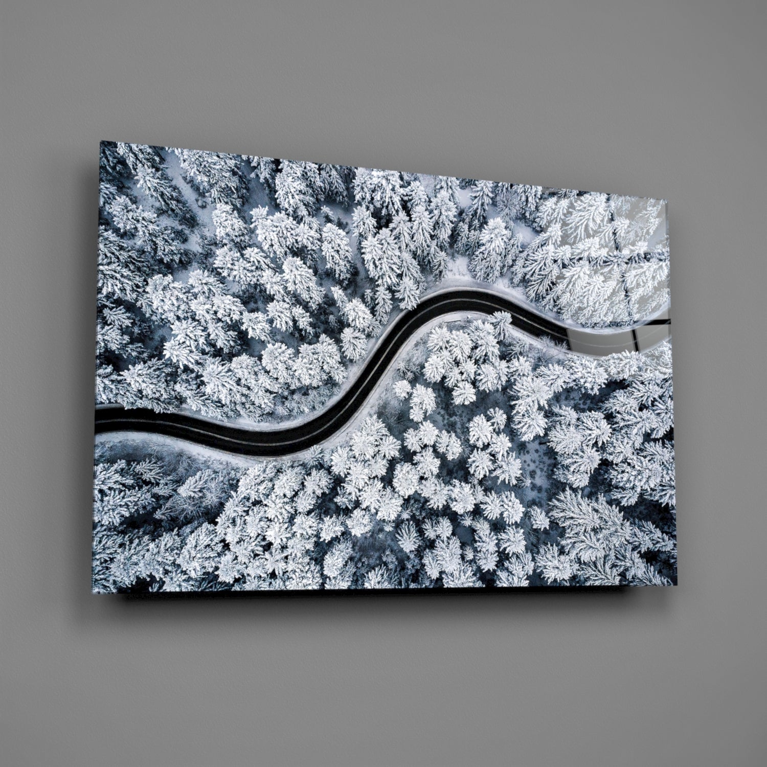 Forest Landscape Glass Wall Art