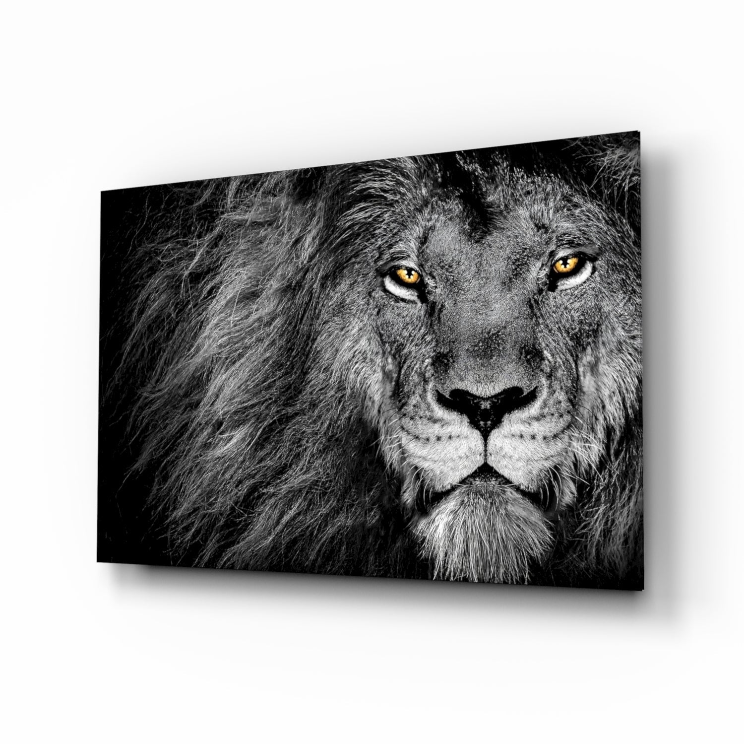 Lion Glass Wall Art