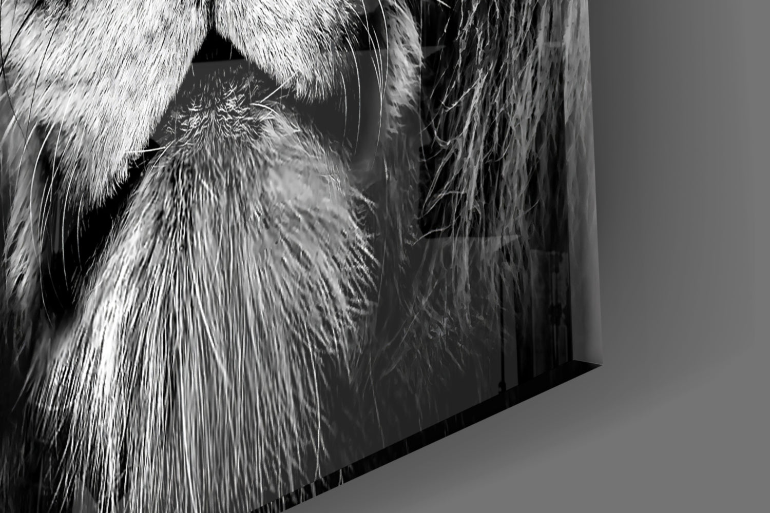 Lion Glass Wall Art