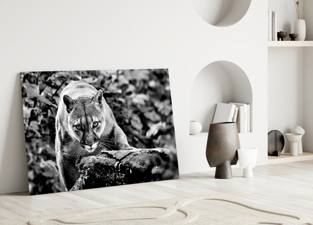 Puma Glass Wall Art