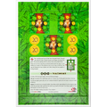 Cacao: Volcanoes Mini Expansion